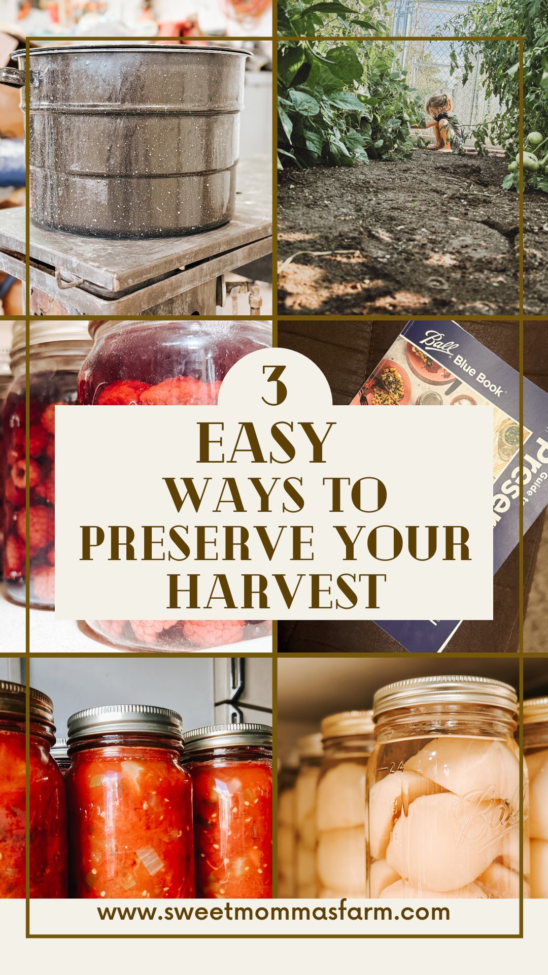 How to preserve your harvest