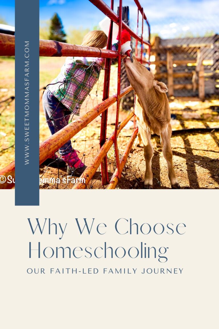 Why We Choose Homeschooling: Our Family’s Journey & Reasons