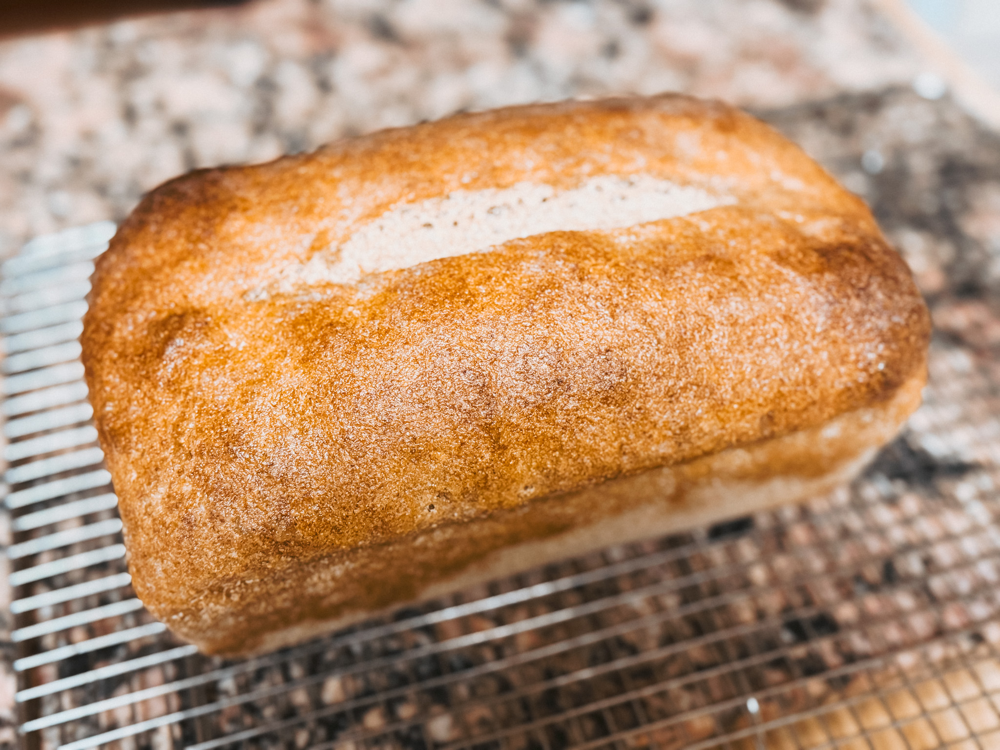Simple Wild Yeast Sourdough Bread Recipe with Fresh-Milled Flour