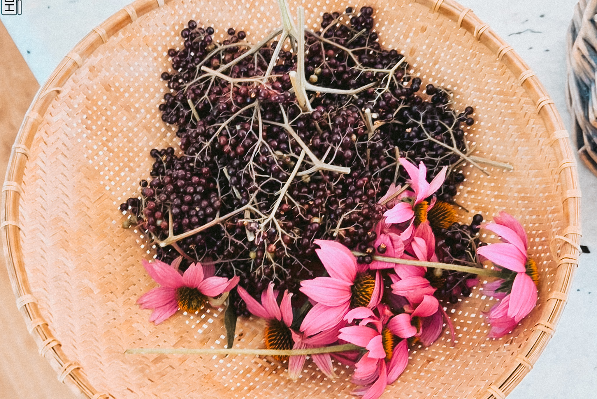 Herbs on the Homestead: Ways to Support Family and Livestock