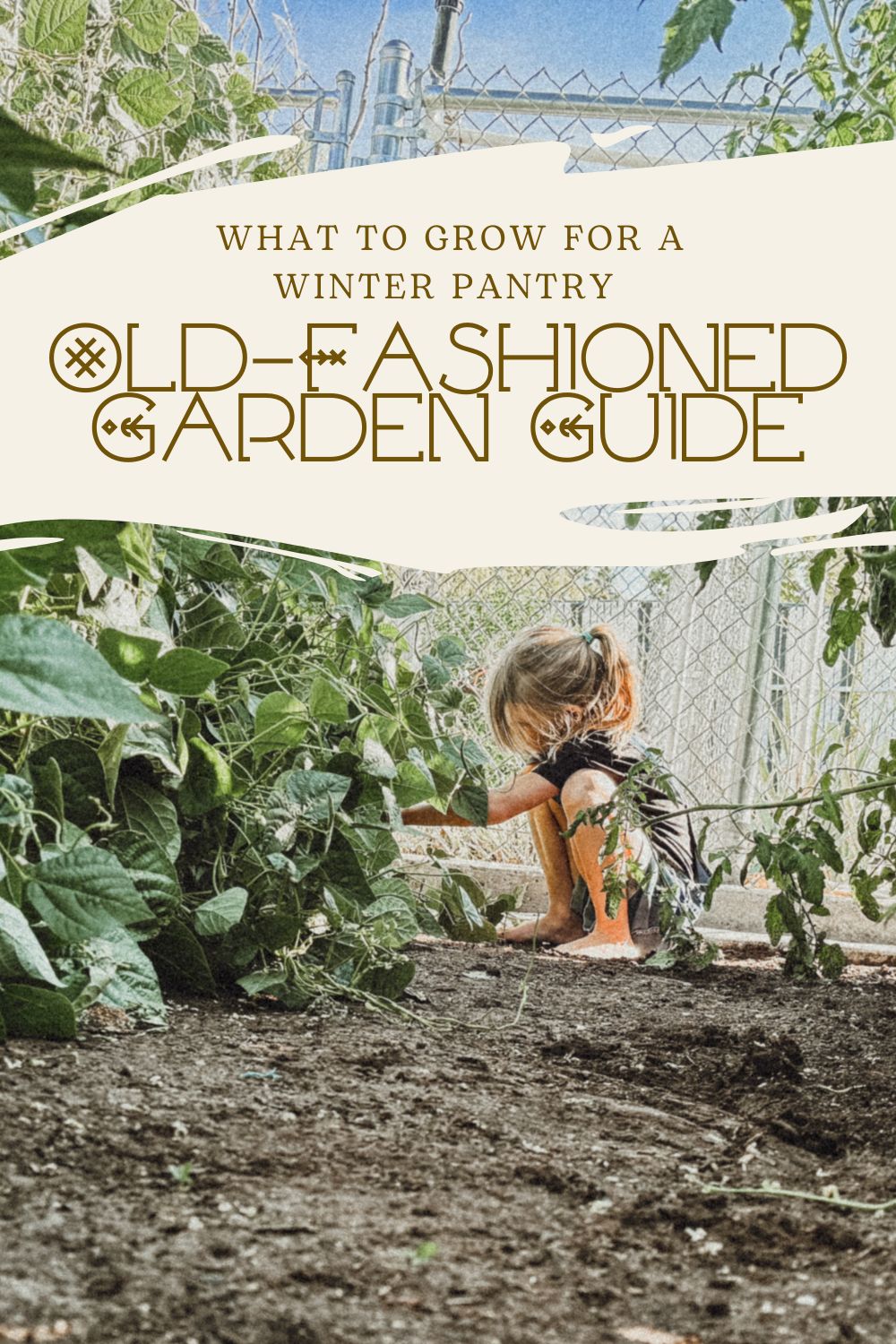 Old-Fashioned Garden: What to Grow for a Pantry That Lasts