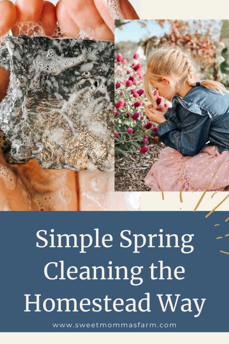 The Simple Homestead Guide to Spring Cleaning