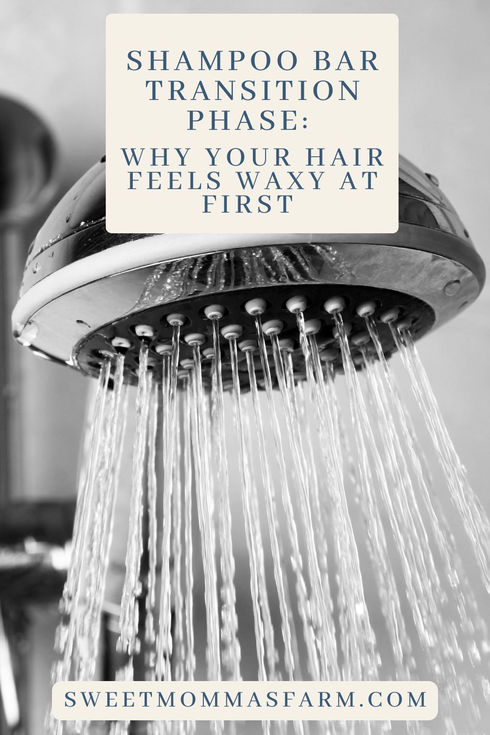 Part 2: The Transition Phase (Why Your Hair Feels Weird at First)
